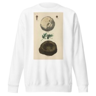 A Manual of Vegetable Materia Medica Pl.01 by George Sampson Valentine Wills Sweatshirt