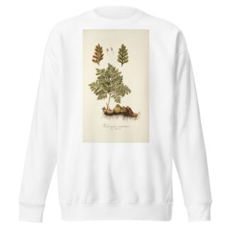 Trichomanes canariense by Nikolaus Joseph Freiherr von Jacquin Sweatshirt