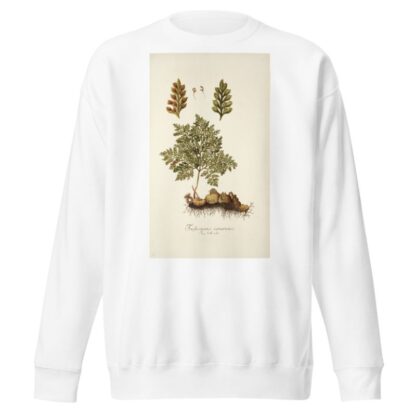 Trichomanes canariense by Nikolaus Joseph Freiherr von Jacquin Sweatshirt