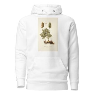 Trichomanes canariense by Nikolaus Joseph Freiherr von Jacquin Hoodie