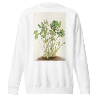 Twinleaf. by Mary Vaux Walcott Sweatshirt