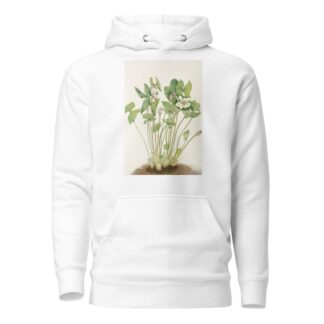 Twinleaf. by Mary Vaux Walcott Hoodie