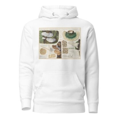 Trametes gibbosa by Hans Walty Hoodie
