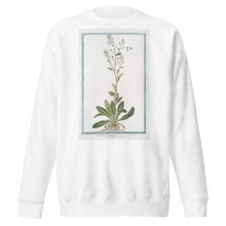 Samolus Valerandi – Mouron d’eau. by Giorgio Bonelli Sweatshirt