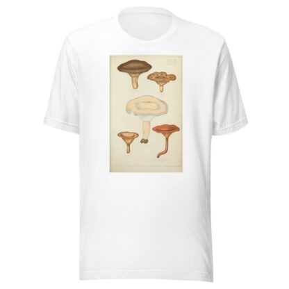 Histoire naturelle des champignons Pl.43 by Guillaume Sicard T-Shirt