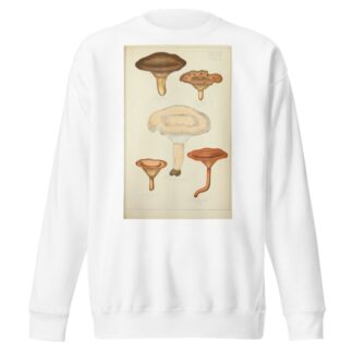 Histoire naturelle des champignons Pl.43 by Guillaume Sicard Sweatshirt