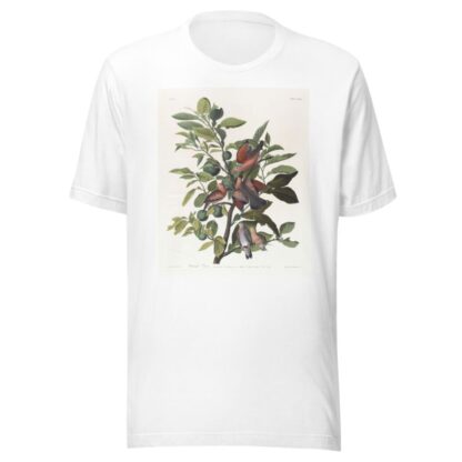 Ground dove by John James Audubon T-Shirt