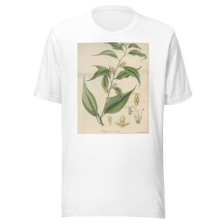Pachysandra coriacea by William Jackson Hooker T-Shirt