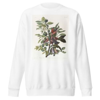 Ground dove by John James Audubon Sweatshirt