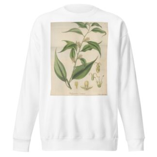 Pachysandra coriacea by William Jackson Hooker Sweatshirt