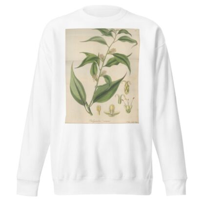 Pachysandra coriacea by William Jackson Hooker Sweatshirt
