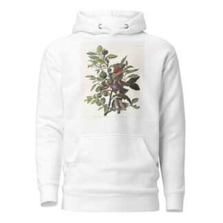 Ground dove by John James Audubon Hoodie