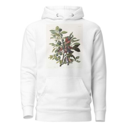 Ground dove by John James Audubon Hoodie