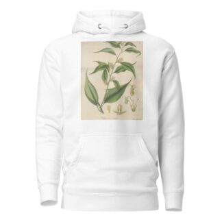 Pachysandra coriacea by William Jackson Hooker Hoodie