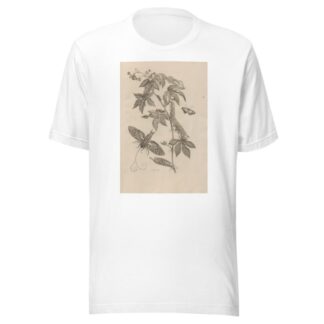 Dissertatio de generatione et metamorphosibus insectorum surinamensium Pl.38 by Maria Sibylla Merian T-Shirt