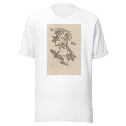 Dissertatio de generatione et metamorphosibus insectorum surinamensium Pl.38 by Maria Sibylla Merian T-Shirt
