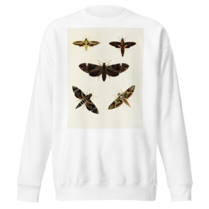 Foreign butterflies occurring in the three continents Asia, Africa and America Pl.092 by Pieter Cramer Sweatshirt