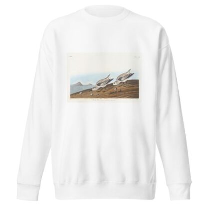 Ruddy plover by John James Audubon Sweatshirt