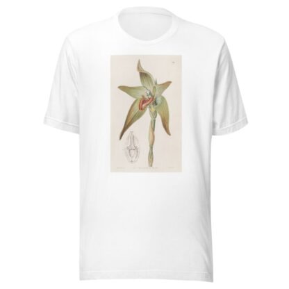 Large-flowered Lycaste by Sydenham Edwards T-Shirt