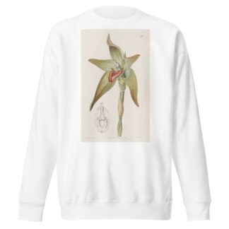 Large-flowered Lycaste by Sydenham Edwards Sweatshirt