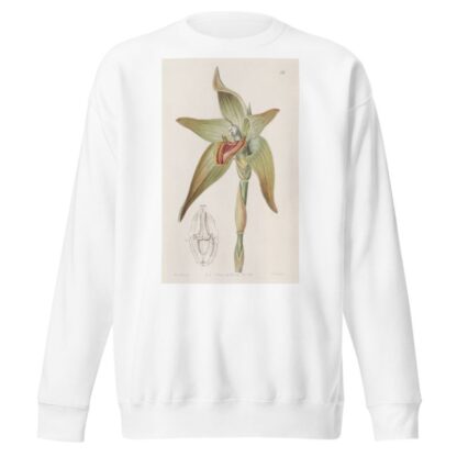 Large-flowered Lycaste by Sydenham Edwards Sweatshirt