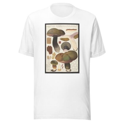 Boletus porphyrosporus Fr by Hans Walty T-Shirt