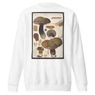 Boletus porphyrosporus Fr by Hans Walty Sweatshirt