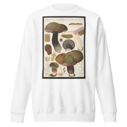 Boletus porphyrosporus Fr by Hans Walty Sweatshirt