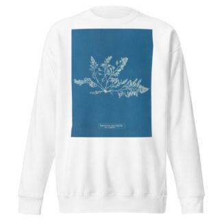 Laurencia pinnatifida var. angusta by Anna Atkins Sweatshirt