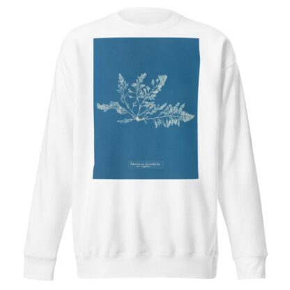 Laurencia pinnatifida var. angusta by Anna Atkins Sweatshirt