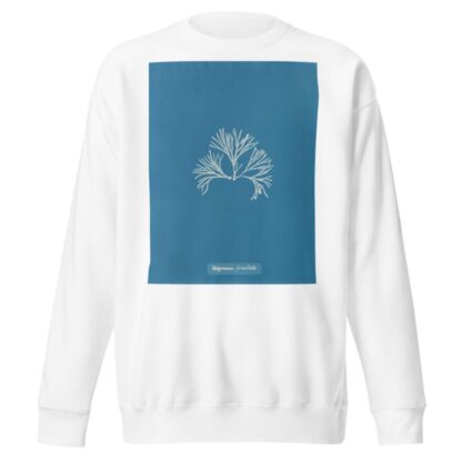Halymenia furcellata by Anna Atkins Sweatshirt