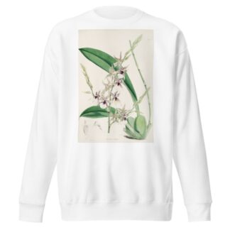 A monograph of Odontoglossum Pl.06 by James Bateman Sweatshirt
