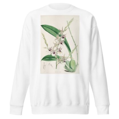 A monograph of Odontoglossum Pl.06 by James Bateman Sweatshirt