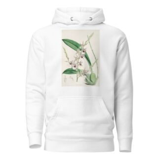 A monograph of Odontoglossum Pl.06 by James Bateman Hoodie