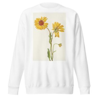 Perennial Gaillardia. Gaillardia aristata by Mary Vaux Walcott Sweatshirt