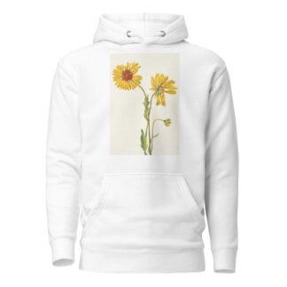 Perennial Gaillardia. Gaillardia aristata by Mary Vaux Walcott Hoodie