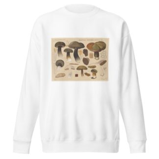 Boletus porphyrosporus Fr. by Hans Walty Sweatshirt