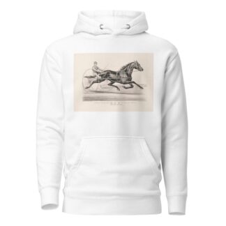 The famous trotting Gelding Guy by Kentucky Prince by John Cameron Hoodie