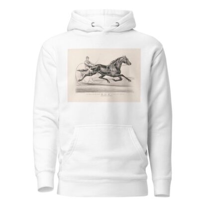 The famous trotting Gelding Guy by Kentucky Prince by John Cameron Hoodie