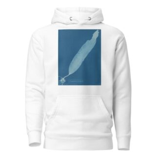 Laminaria saccharina by Anna Atkins Hoodie