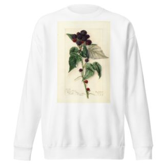 Rubus: Black Pearl by Mary Daisy Arnold Sweatshirt