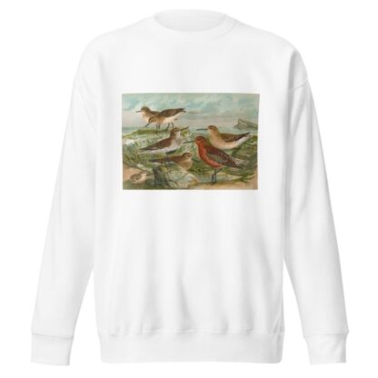 Tringa Temmincki Leisl, Tringa alpina, Tringa subarcuata by Johann Friedrich Naumann Sweatshirt