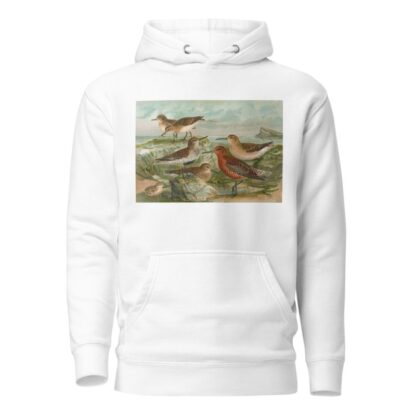 Tringa Temmincki Leisl, Tringa alpina, Tringa subarcuata by Johann Friedrich Naumann Hoodie