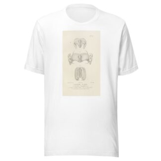 Centurie zoologique Pl.28 by René-Primevère Lesson T-Shirt