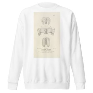 Centurie zoologique Pl.28 by René-Primevère Lesson Sweatshirt