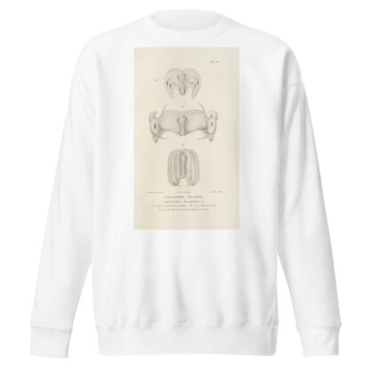 Centurie zoologique Pl.28 by René-Primevère Lesson Sweatshirt