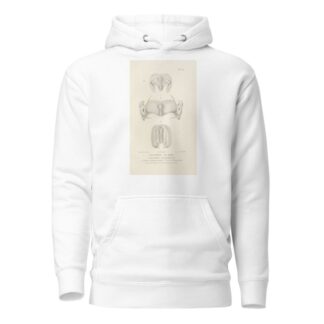 Centurie zoologique Pl.28 by René-Primevère Lesson Hoodie