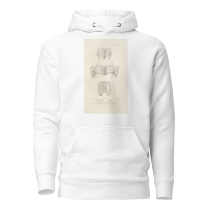 Centurie zoologique Pl.28 by René-Primevère Lesson Hoodie