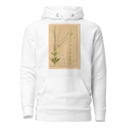 Medicinal Plants Pl.007 by Charles Frederick Millspaugh Hoodie