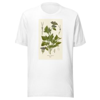 Ageratum Coeruleum by Edward Step T-Shirt